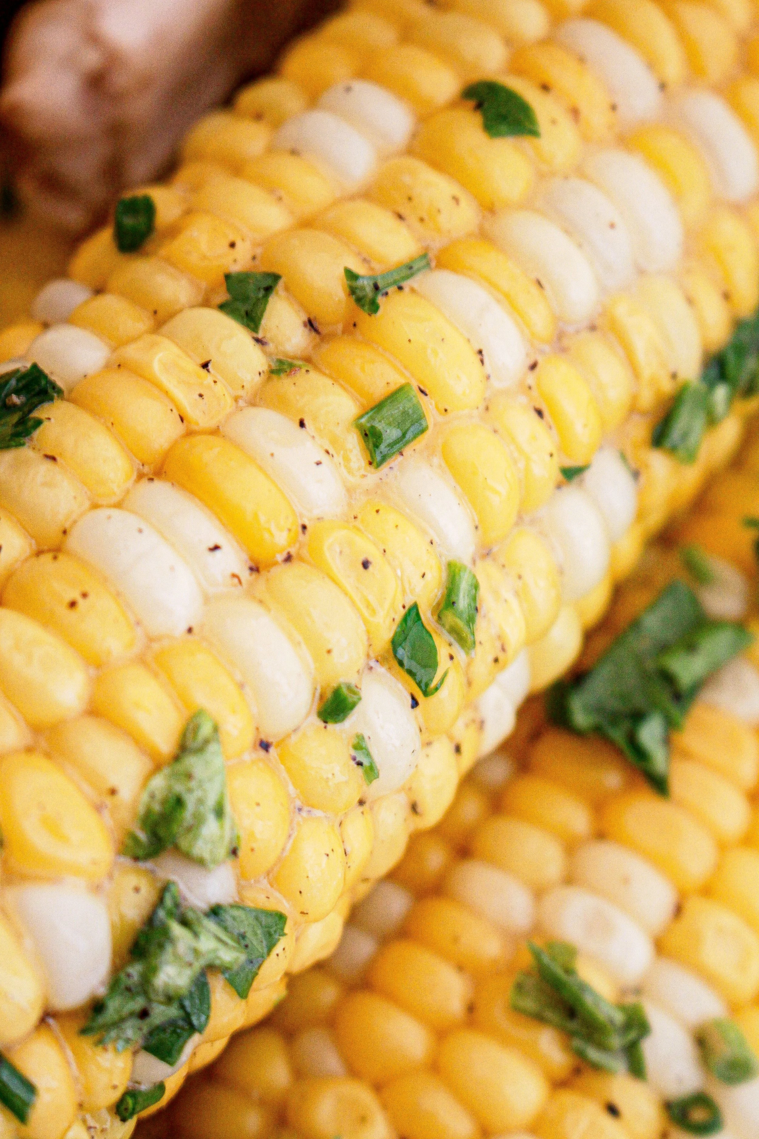 Close-up of corn on the cob with herbs and seasoning