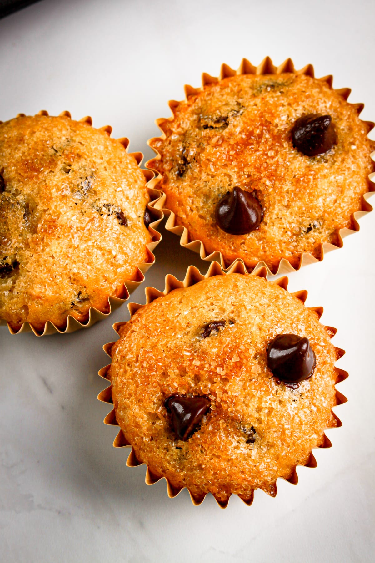 Bakery-Style Chocolate Chip Muffins